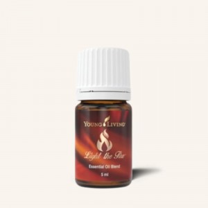 Light the Fire 鼓舞之火